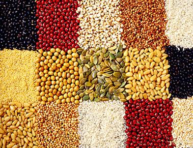 陜西農(nóng)產(chǎn)品市場(chǎng)詳情咨詢