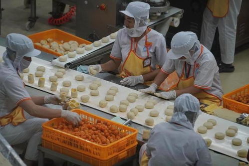 越南一現(xiàn)代化食品廠,還用人海戰(zhàn)術(shù),不過做出的榴蓮餅真好吃